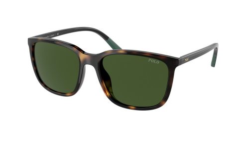 RALPH LAUREN PH4185U500371 Férfi napszemüveg