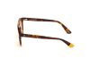 WEB EYEWEAR WE0262-5156J Unisex napszemüveg