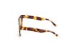 WEB EYEWEAR WE0315-0041F Férfi napszemüveg